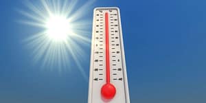 Summer Colds and Flu
