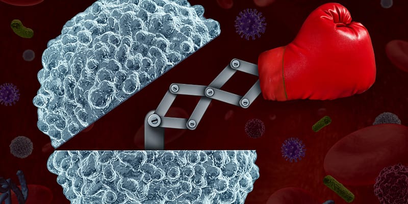 Immunomodulators for immune system support