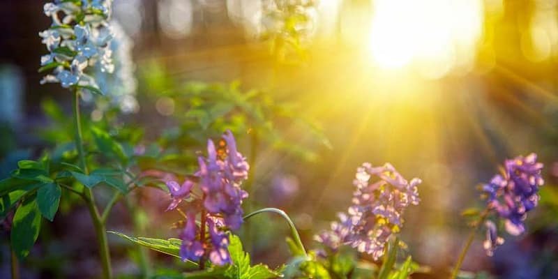 Transitioning from winter to spring with Modul8